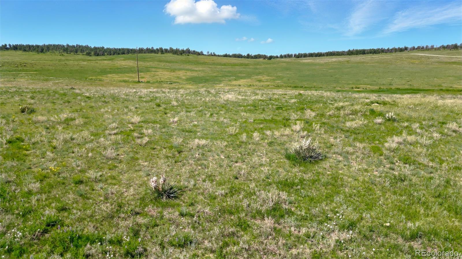 Parcel #3B County Road 91 Ramah CO 80832
