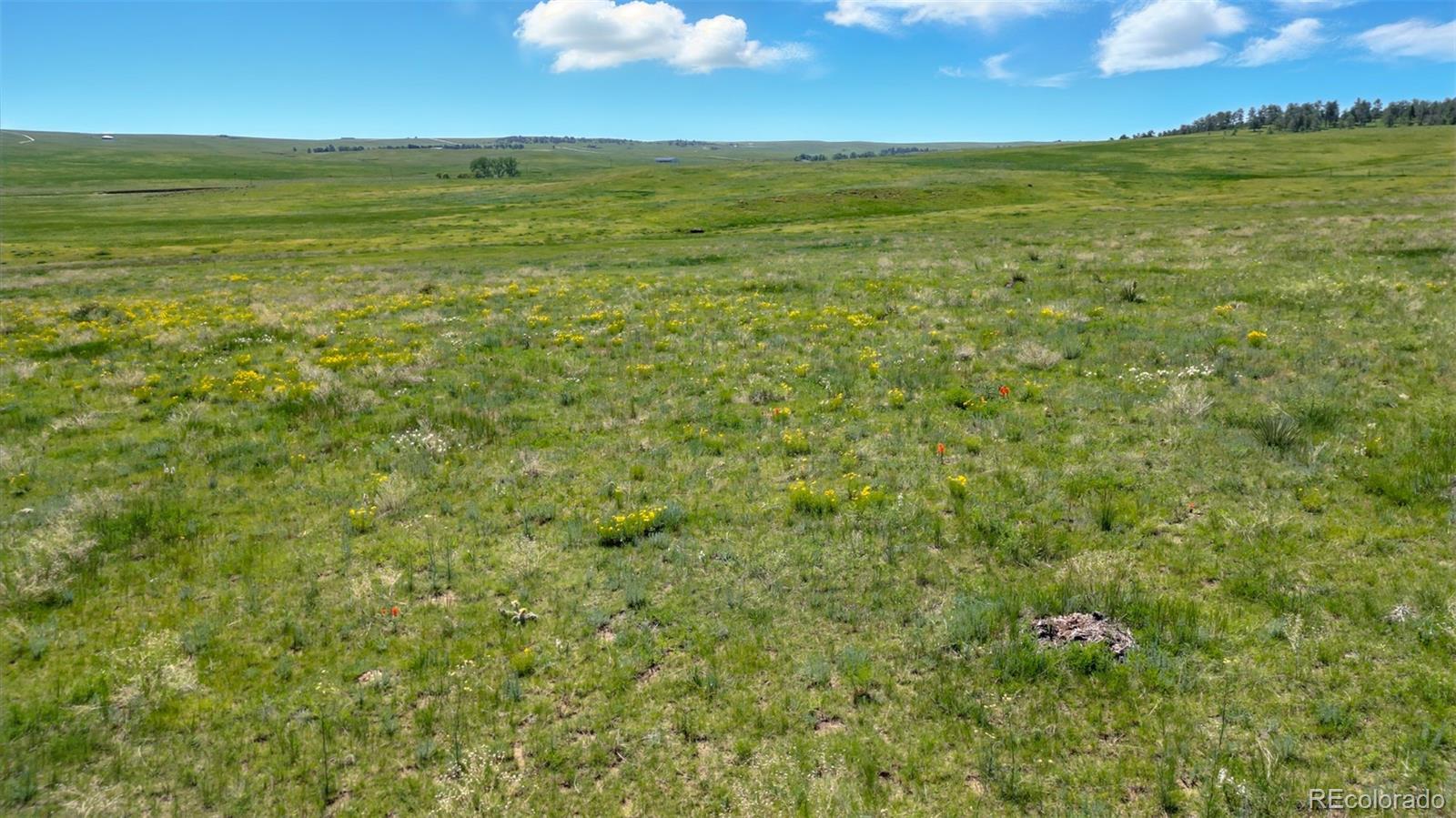 Parcel #3B County Road 91 Ramah CO 80832