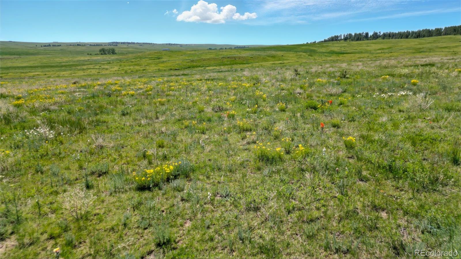 Parcel #3B County Road 91 Ramah CO 80832