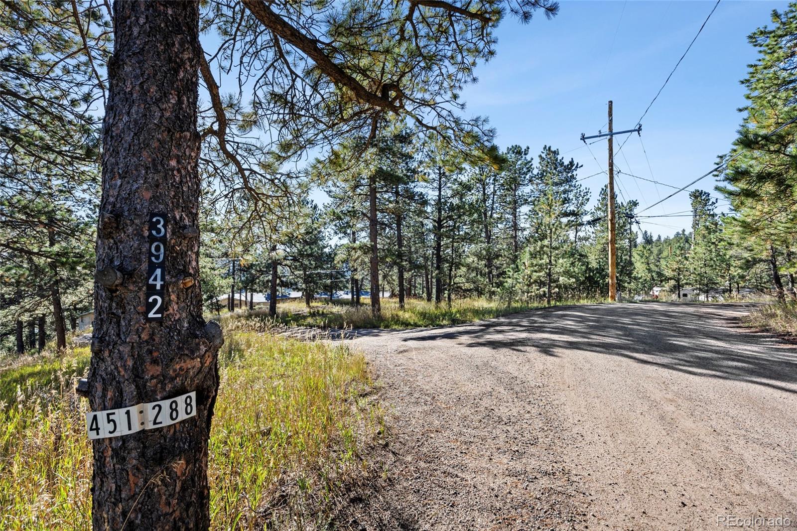 3942 S Palo Verde Road Evergreen CO 80439