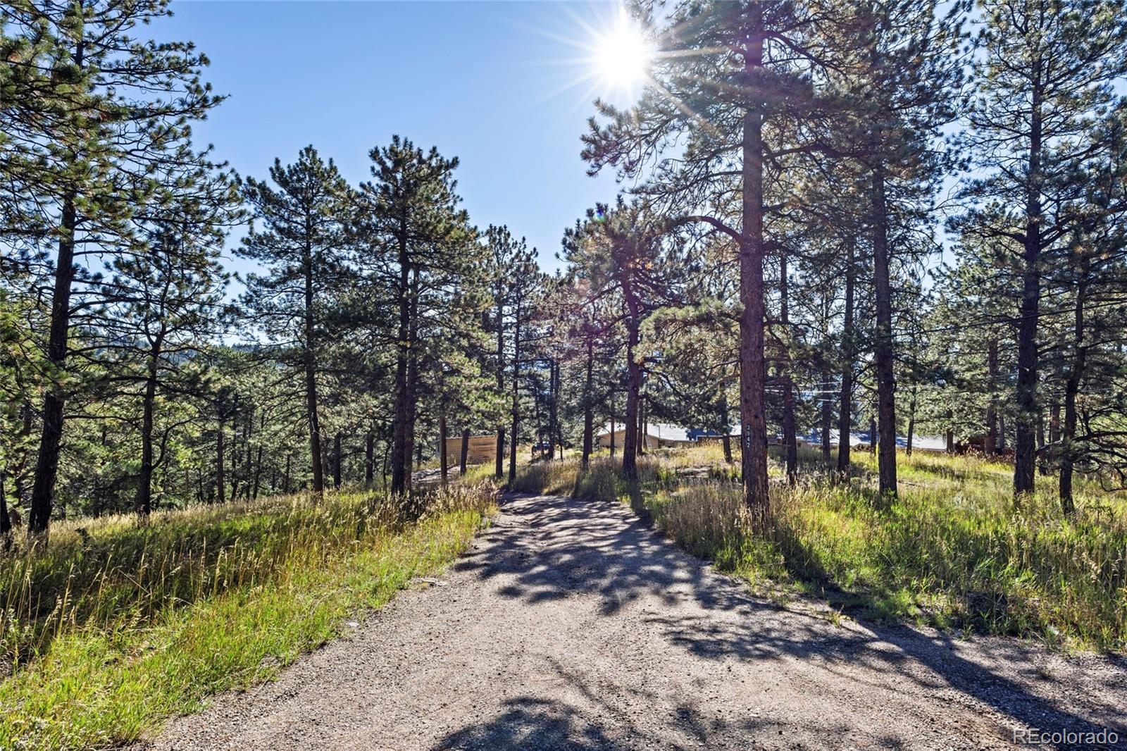 3942 S Palo Verde Road Evergreen CO 80439