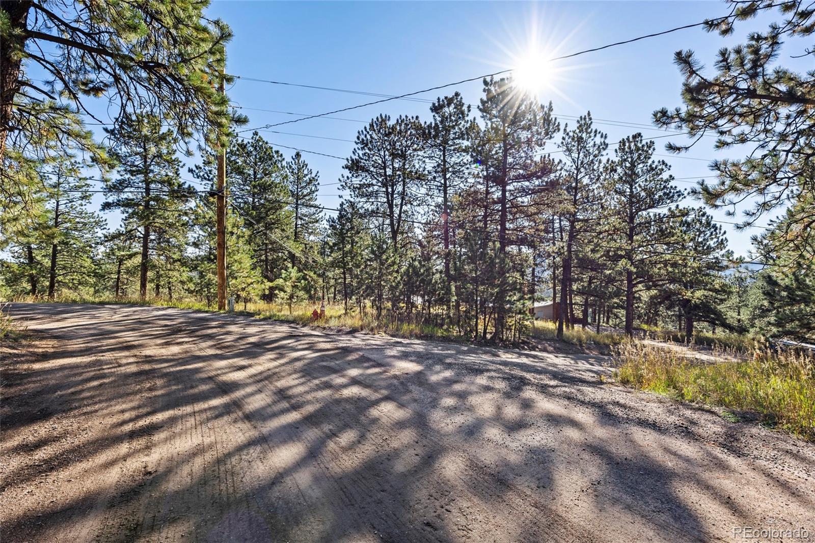 3942 S Palo Verde Road Evergreen CO 80439