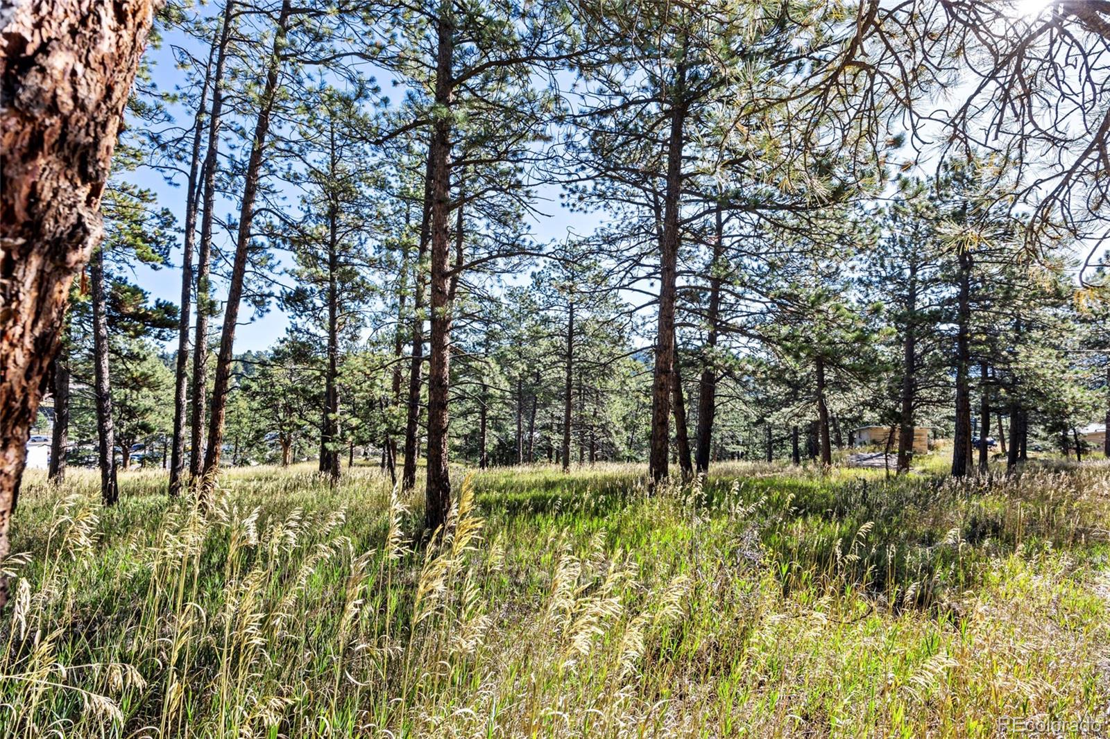 3942 S Palo Verde Road Evergreen CO 80439