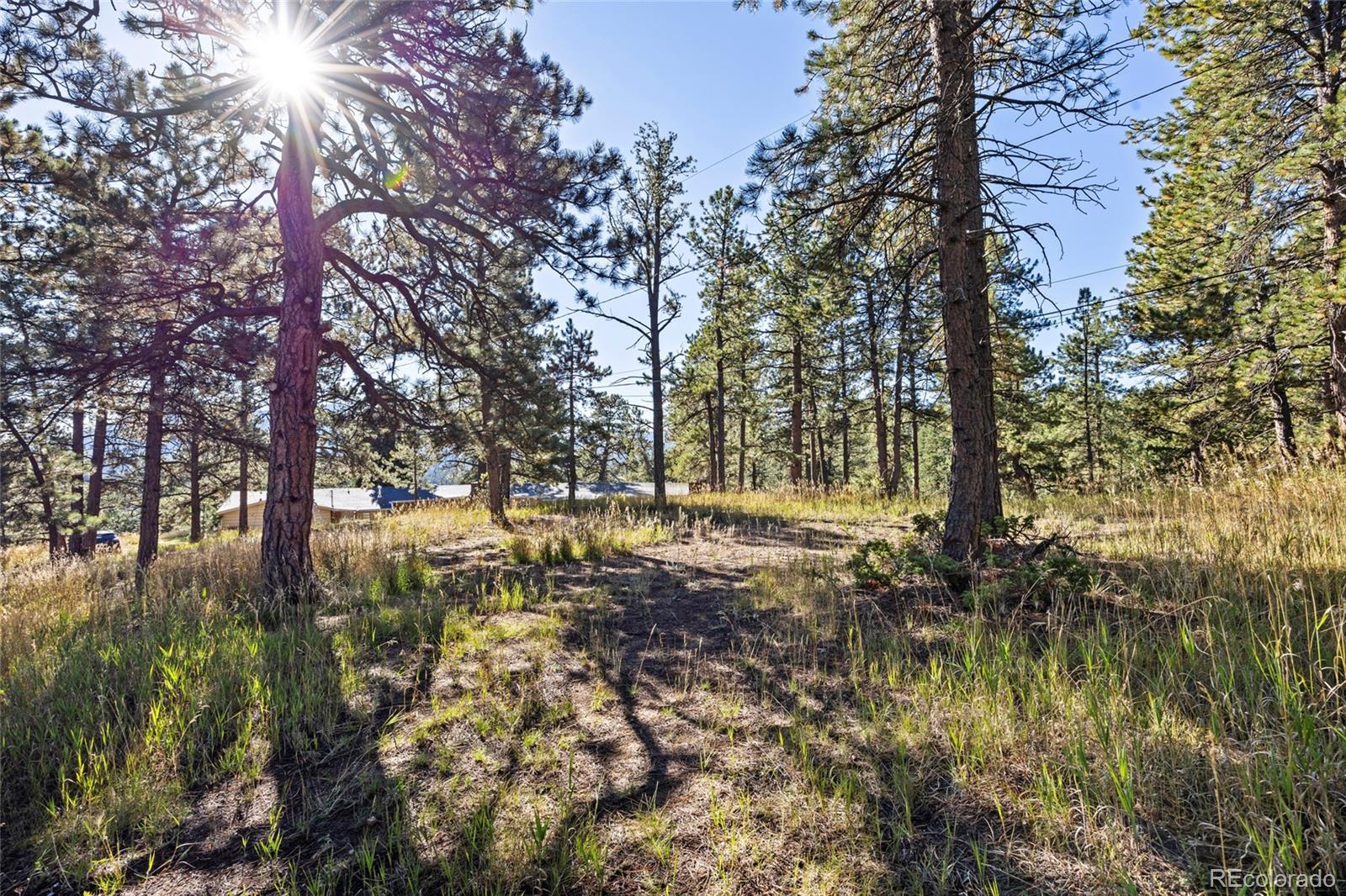 3942 S Palo Verde Road Evergreen CO 80439