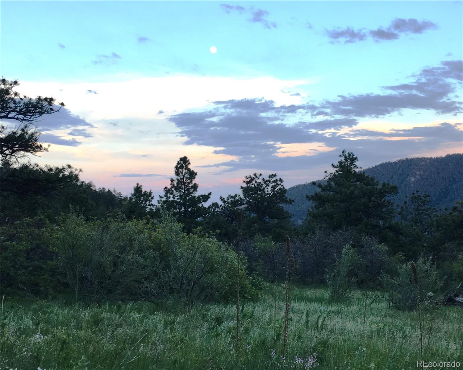 5162 Raven Gulch Road Morrison CO 80465