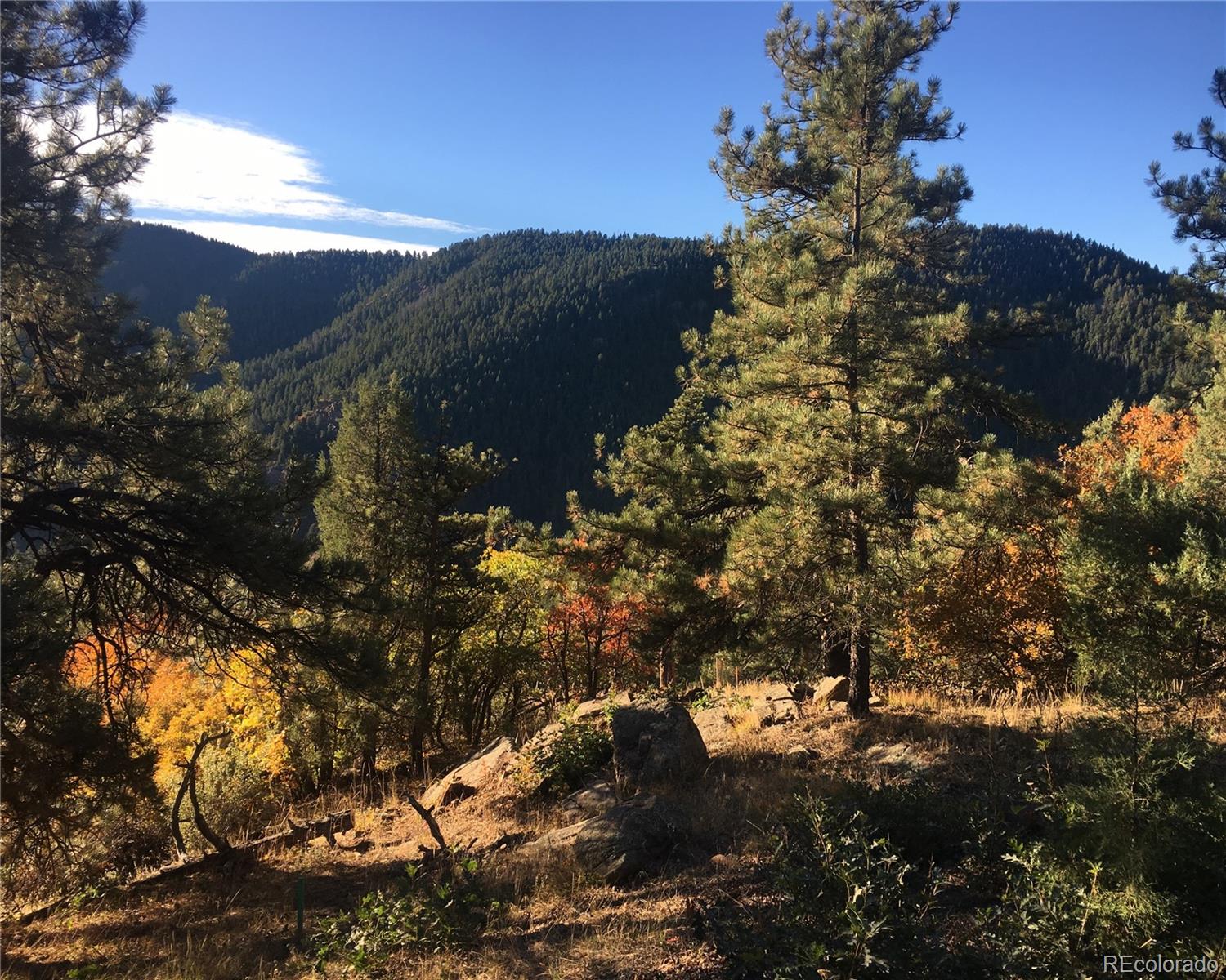 5162 Raven Gulch Road Morrison CO 80465