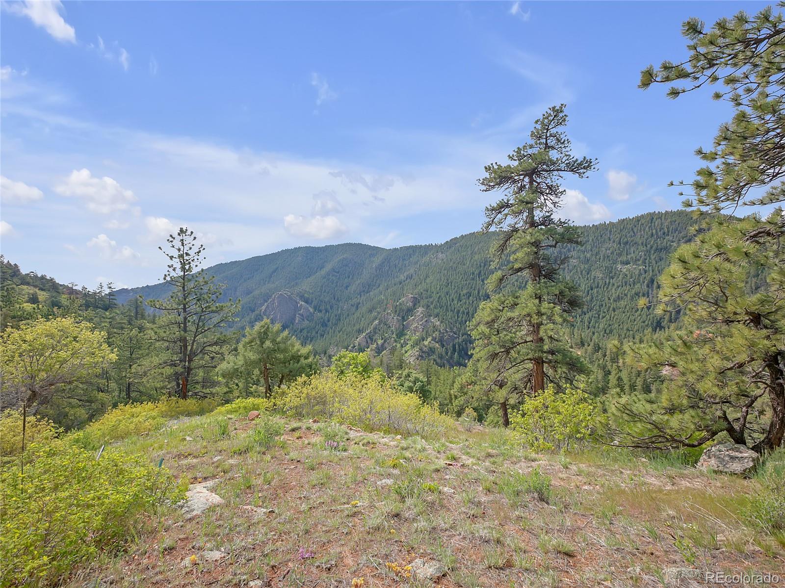 5162 Raven Gulch Road Morrison CO 80465