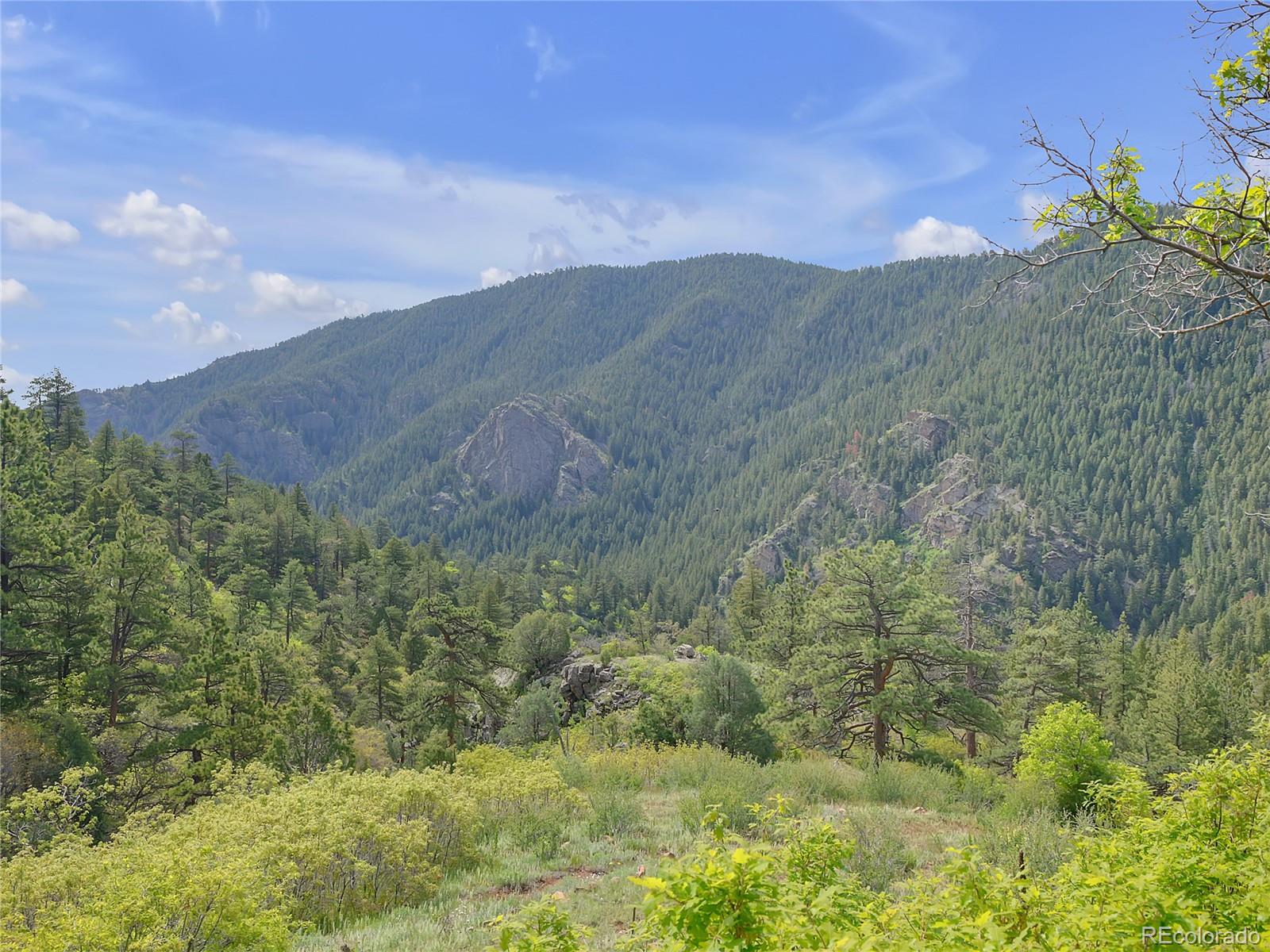 5162 Raven Gulch Road Morrison CO 80465