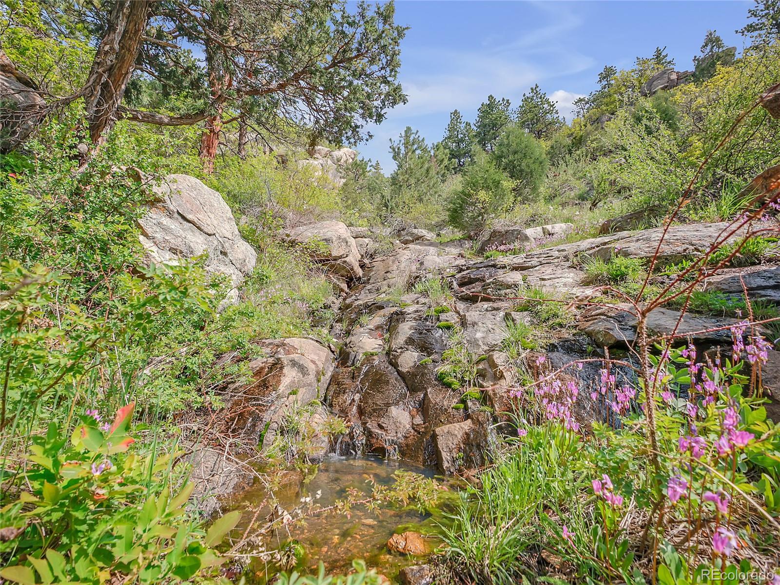 5162 Raven Gulch Road Morrison CO 80465