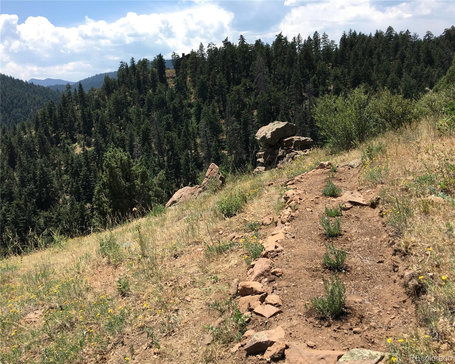 5162 Raven Gulch Road Morrison CO 80465