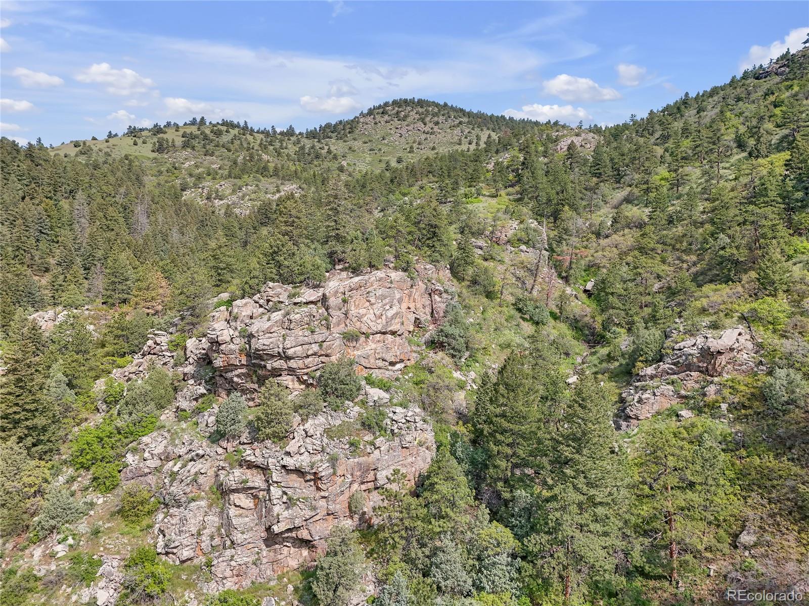 5162 Raven Gulch Road Morrison CO 80465