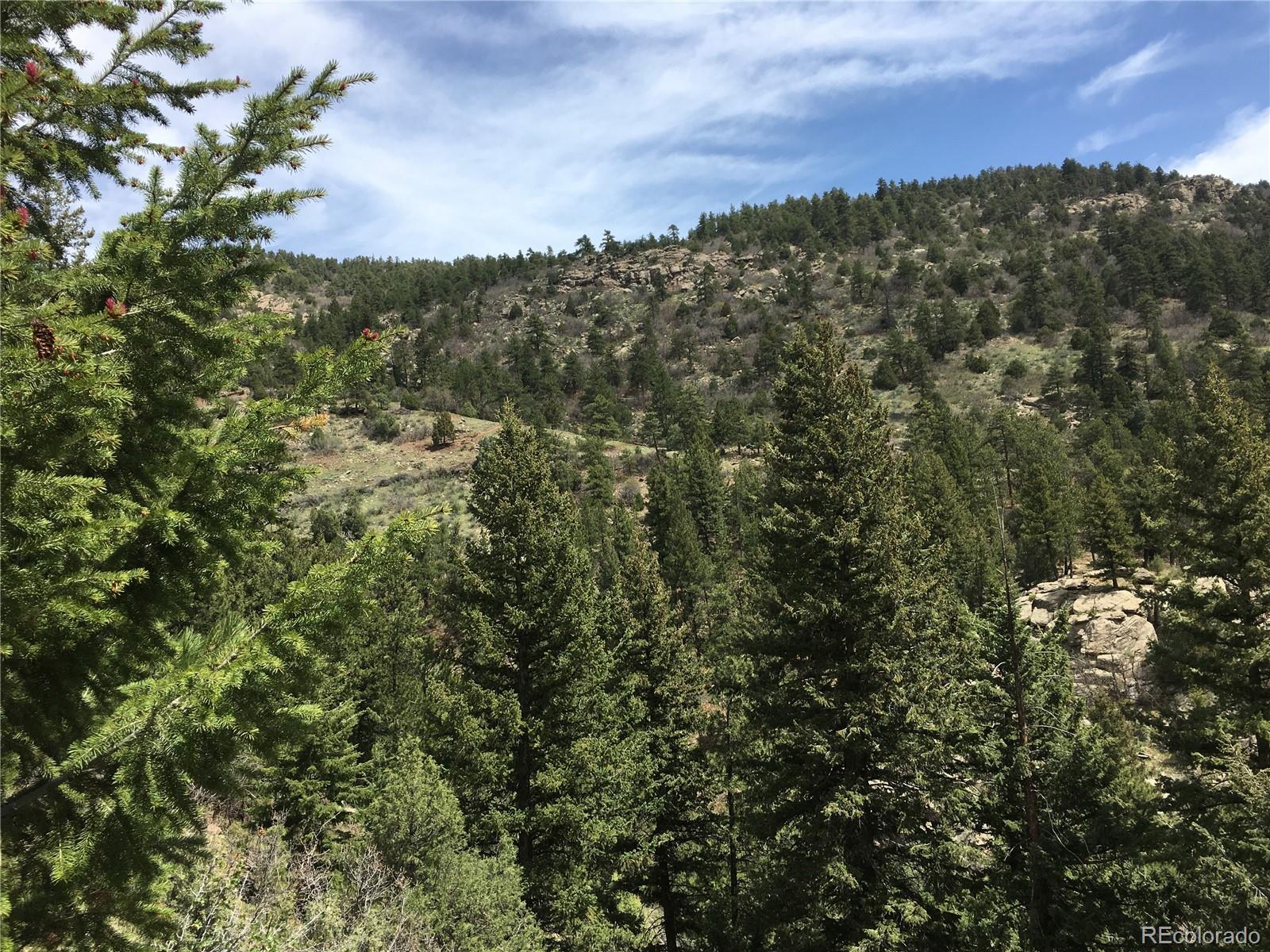 5162 Raven Gulch Road Morrison CO 80465