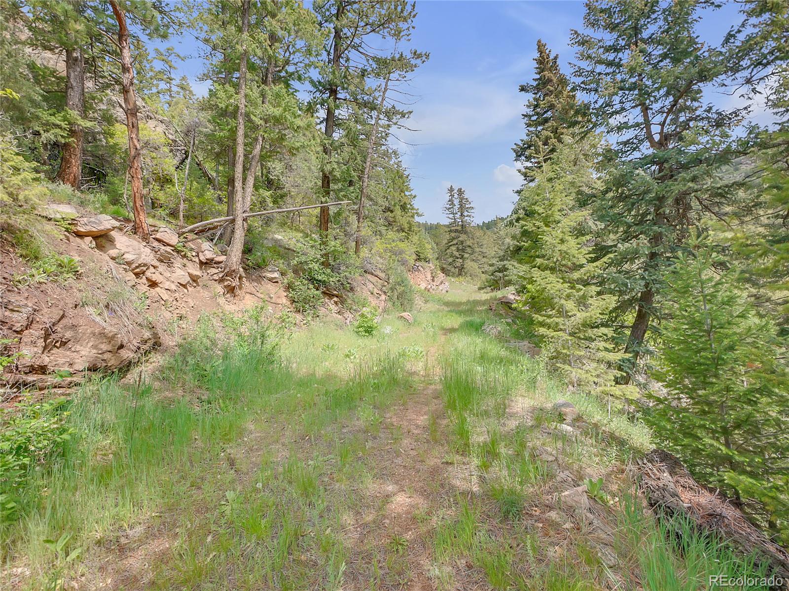 5162 Raven Gulch Road Morrison CO 80465