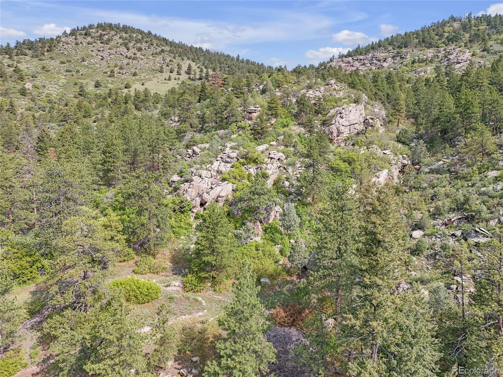 5162 Raven Gulch Road Morrison CO 80465