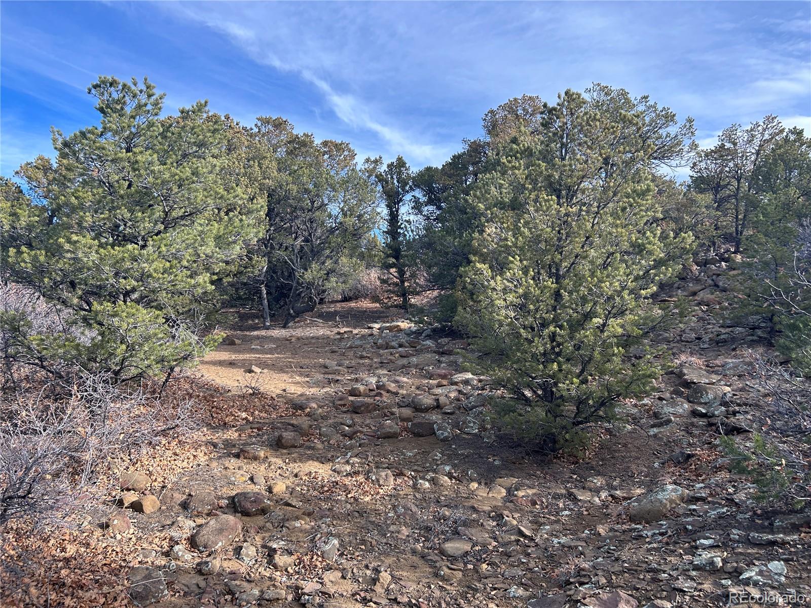 Lot 142a Silver Spurs Ranch Walsenburg CO 81089