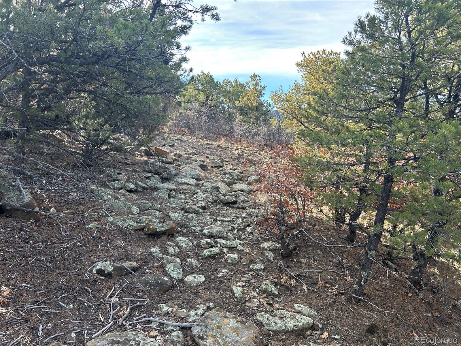 Lot 142a Silver Spurs Ranch Walsenburg CO 81089