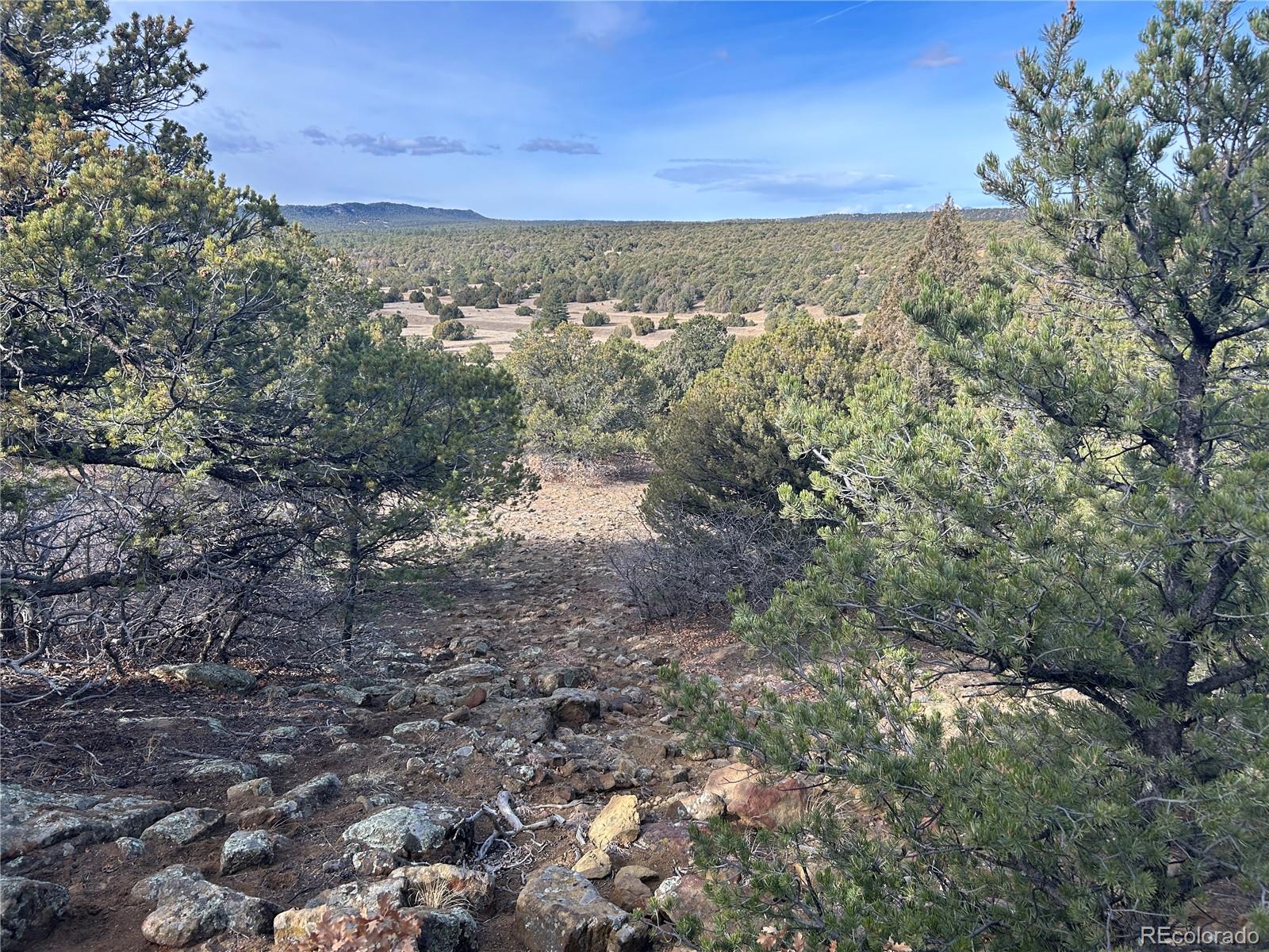 Lot 142a Silver Spurs Ranch Walsenburg CO 81089