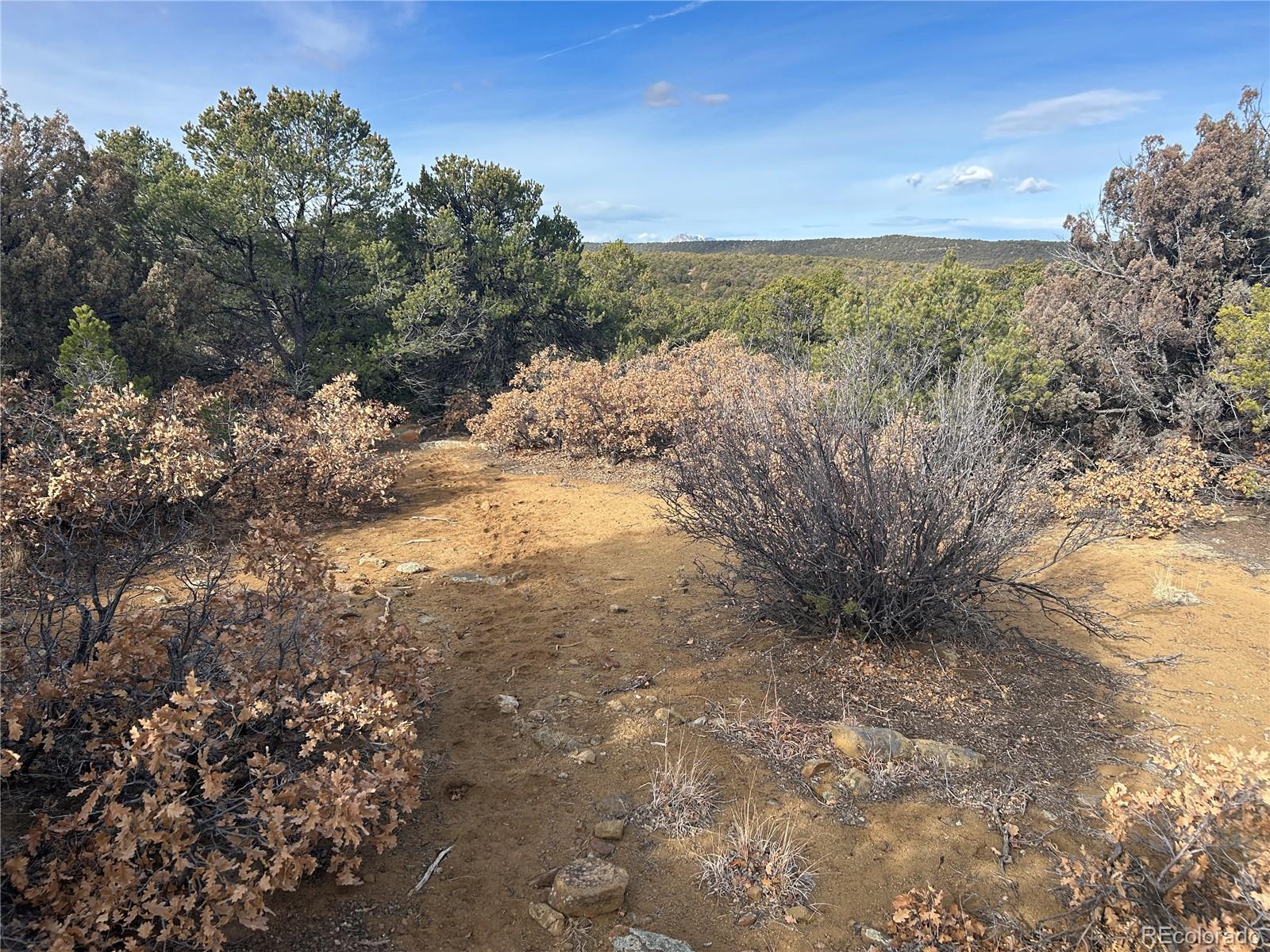 Lot 142a Silver Spurs Ranch Walsenburg CO 81089