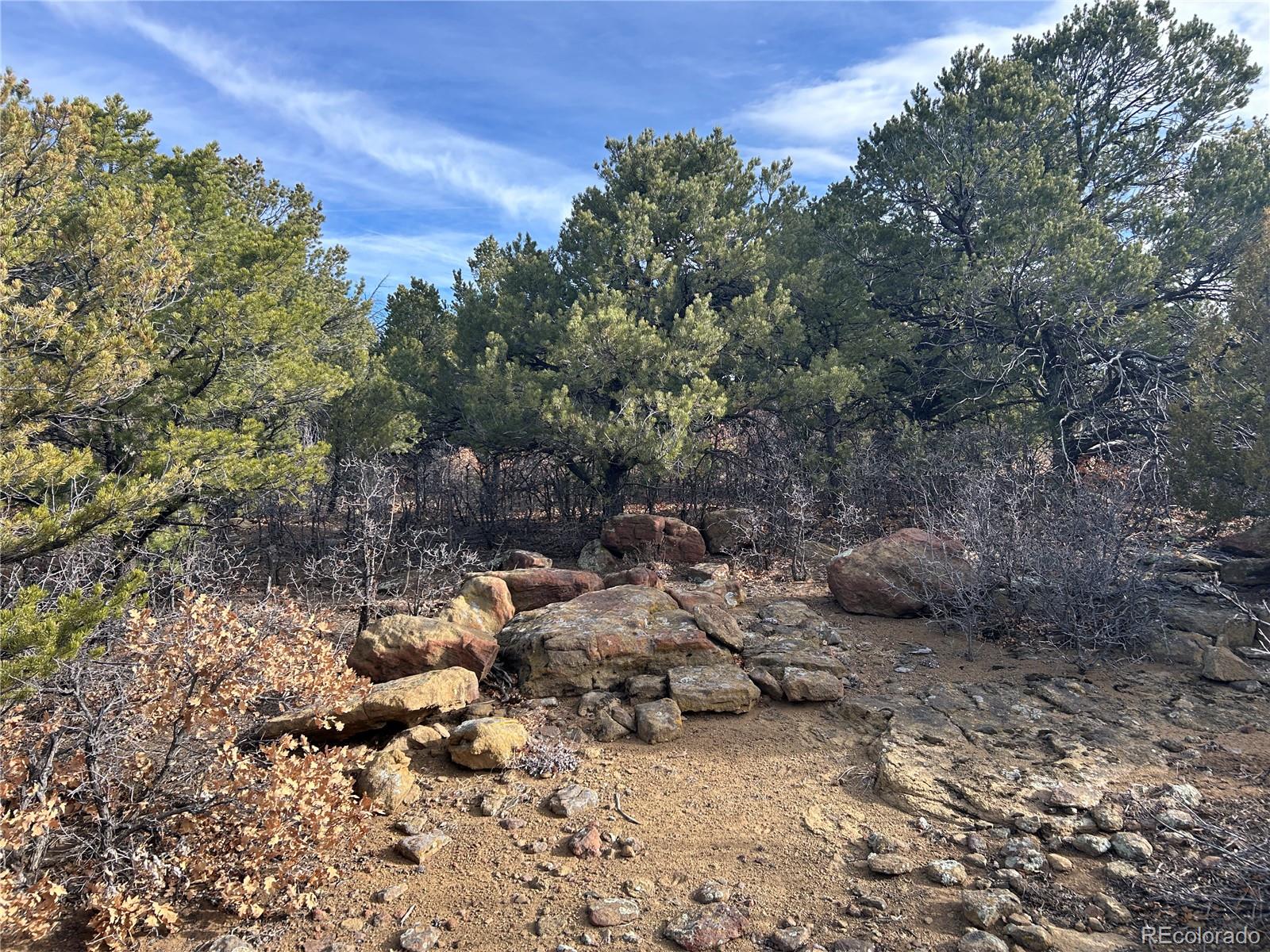 Lot 142a Silver Spurs Ranch Walsenburg CO 81089