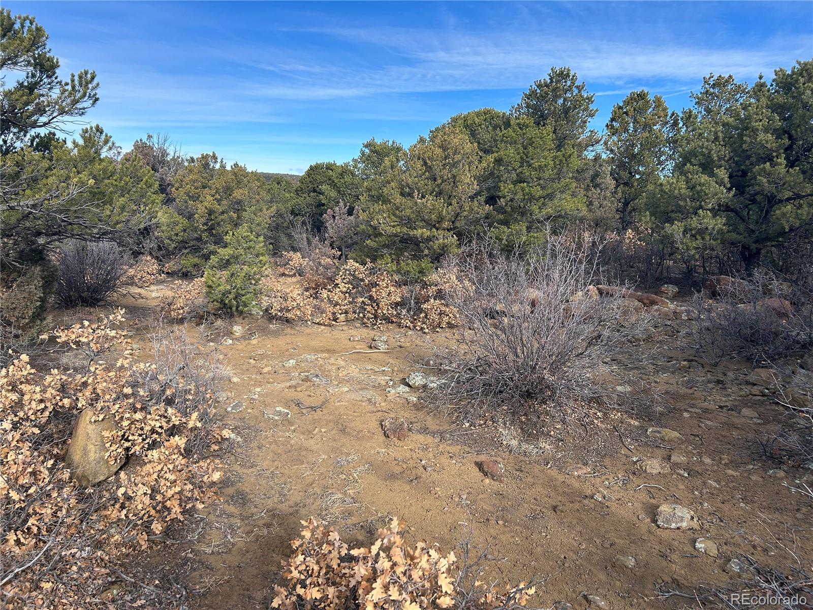 Lot 142a Silver Spurs Ranch Walsenburg CO 81089