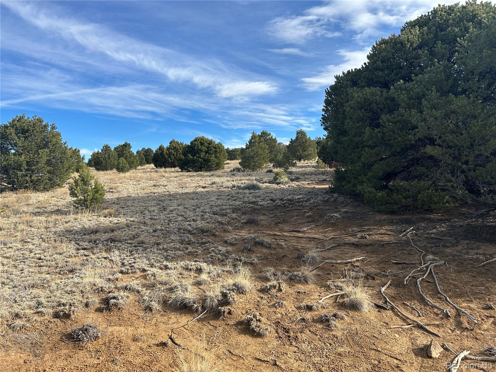 Lot 142a Silver Spurs Ranch Walsenburg CO 81089