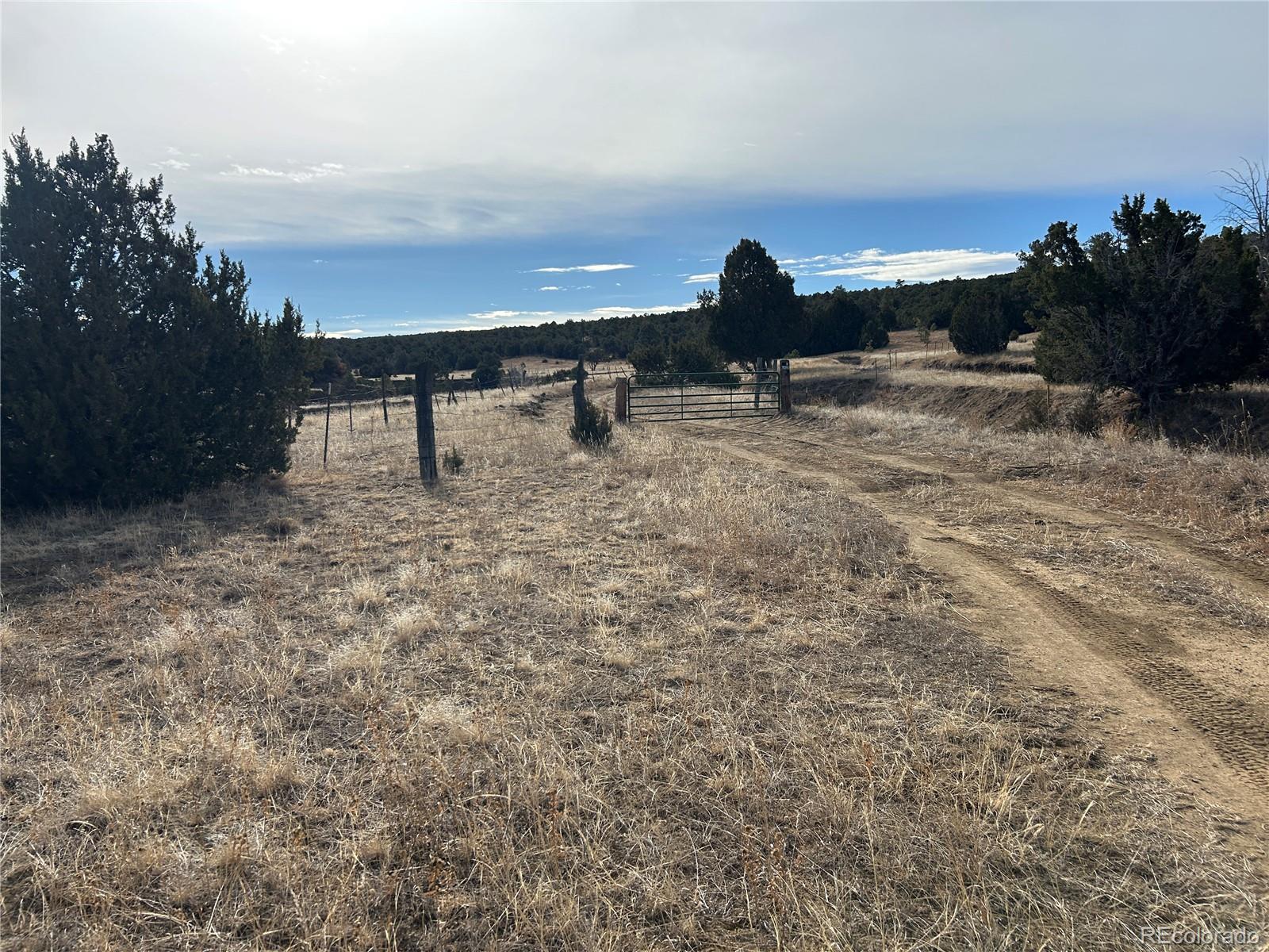 Lot 142a Silver Spurs Ranch Walsenburg CO 81089