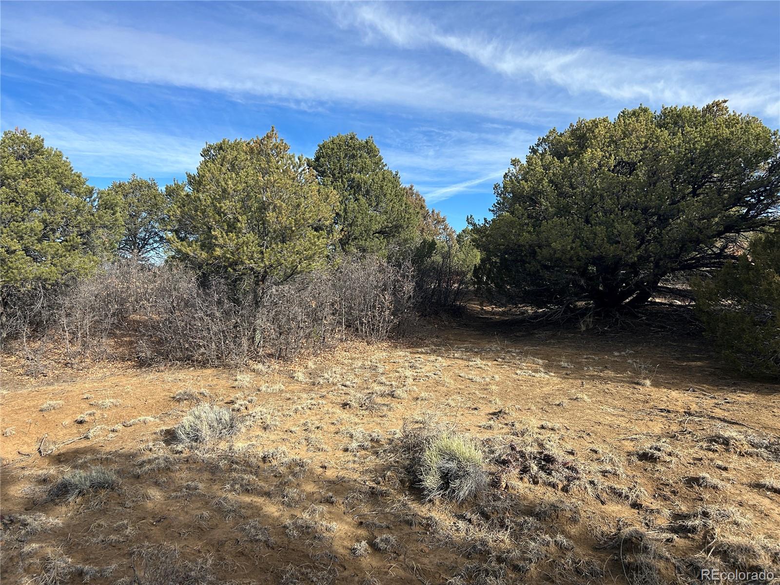 Lot 142a Silver Spurs Ranch Walsenburg CO 81089