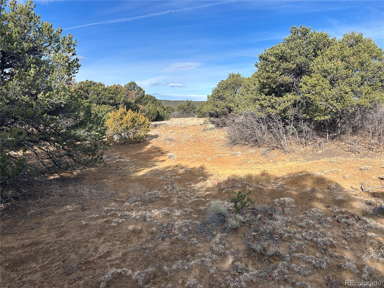 Lot 142a Silver Spurs Ranch Walsenburg CO 81089