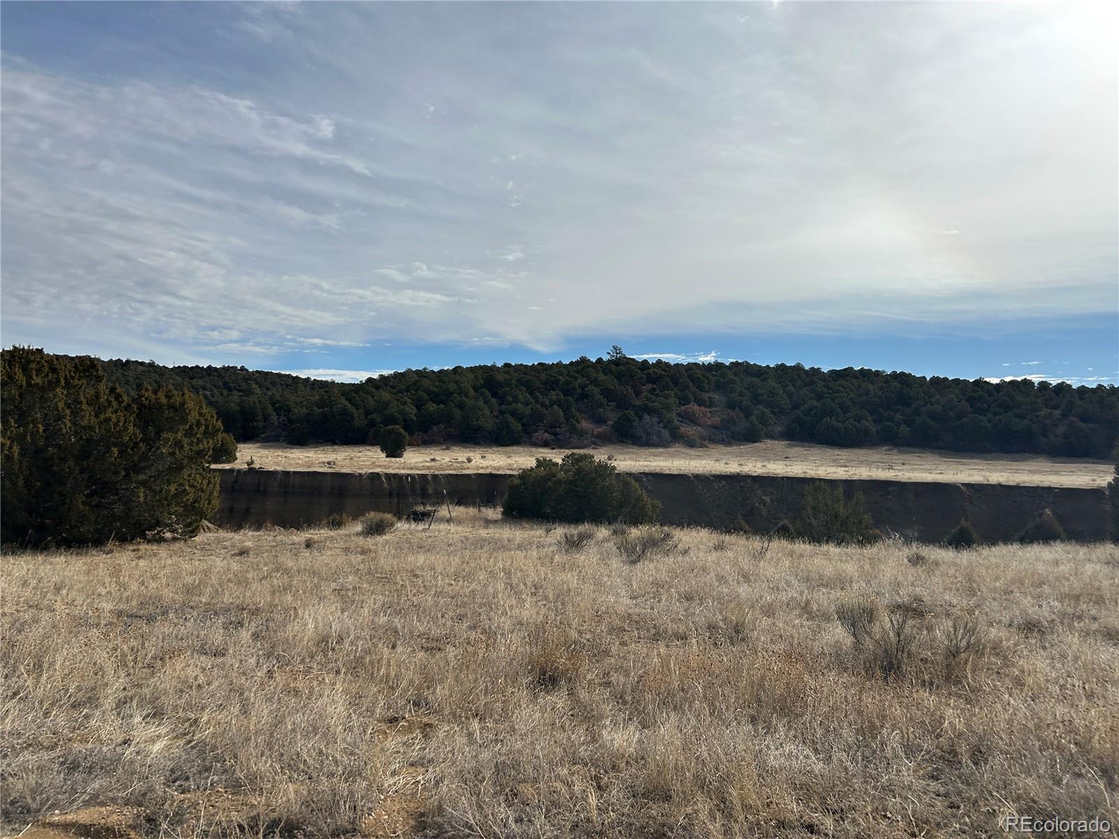 Lot 142a Silver Spurs Ranch Walsenburg CO 81089