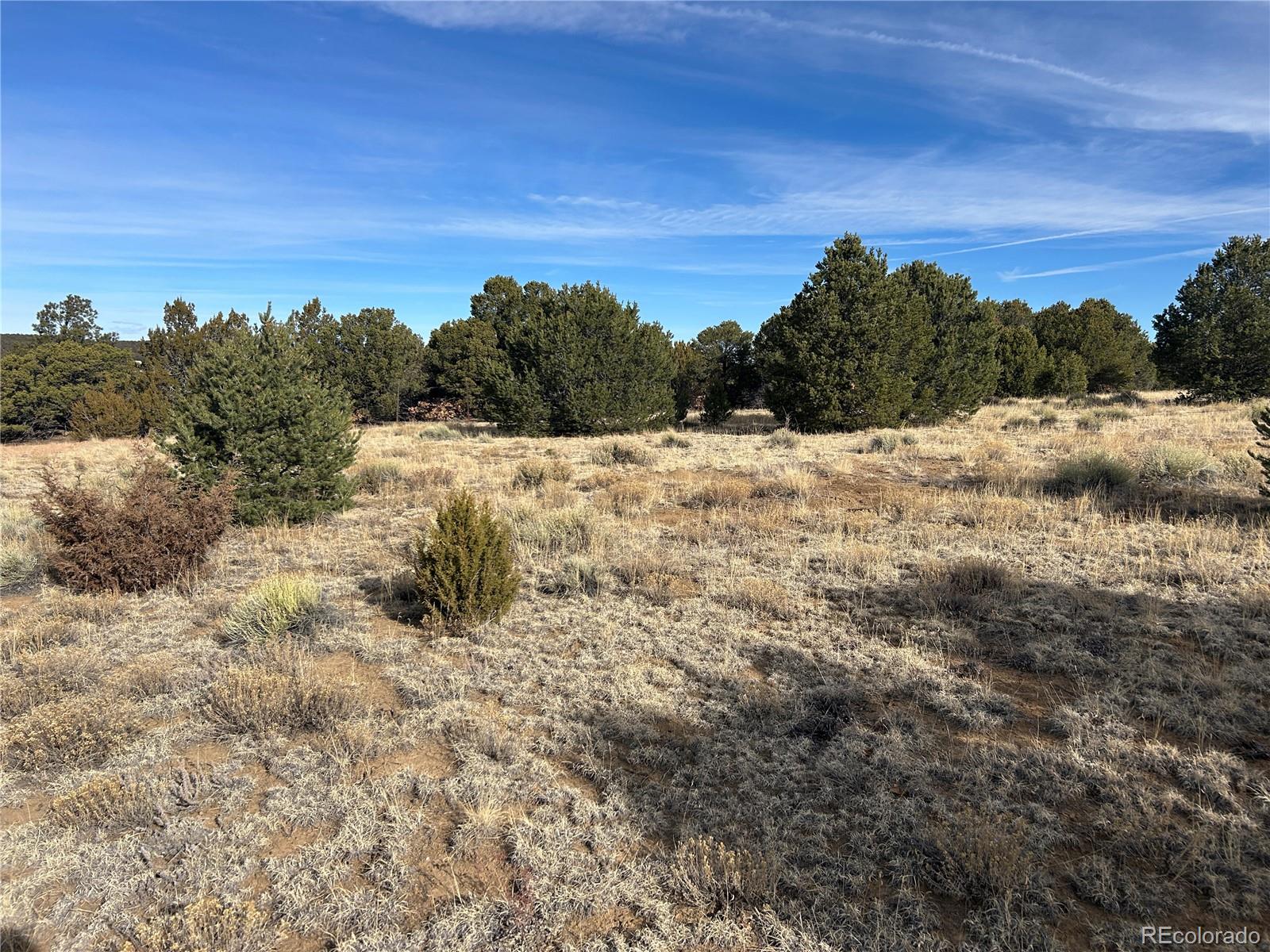 Lot 142a Silver Spurs Ranch Walsenburg CO 81089