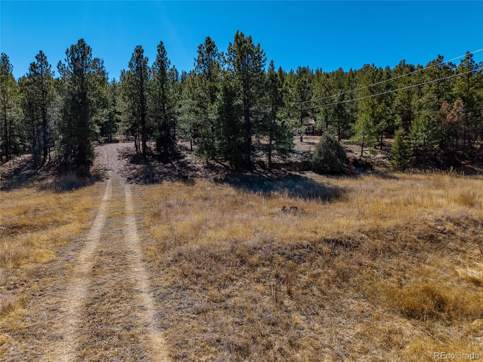 000 Dude Canyon Road Weston CO 81091