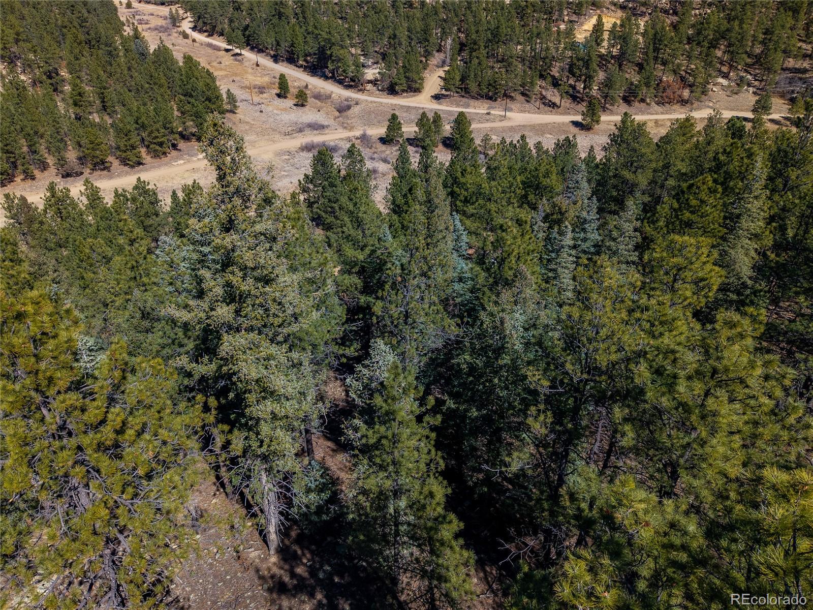 000 Dude Canyon Road Weston CO 81091