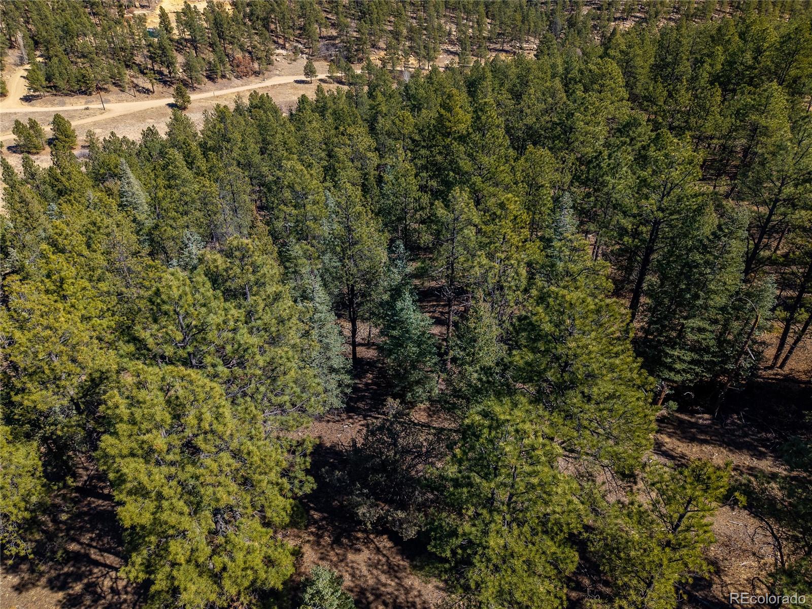 000 Dude Canyon Road Weston CO 81091
