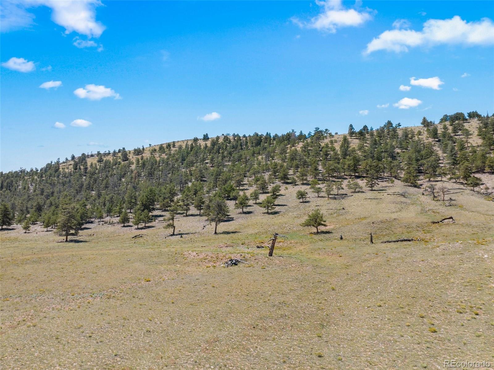 835 Sulphur Mountain Lake George CO 80827