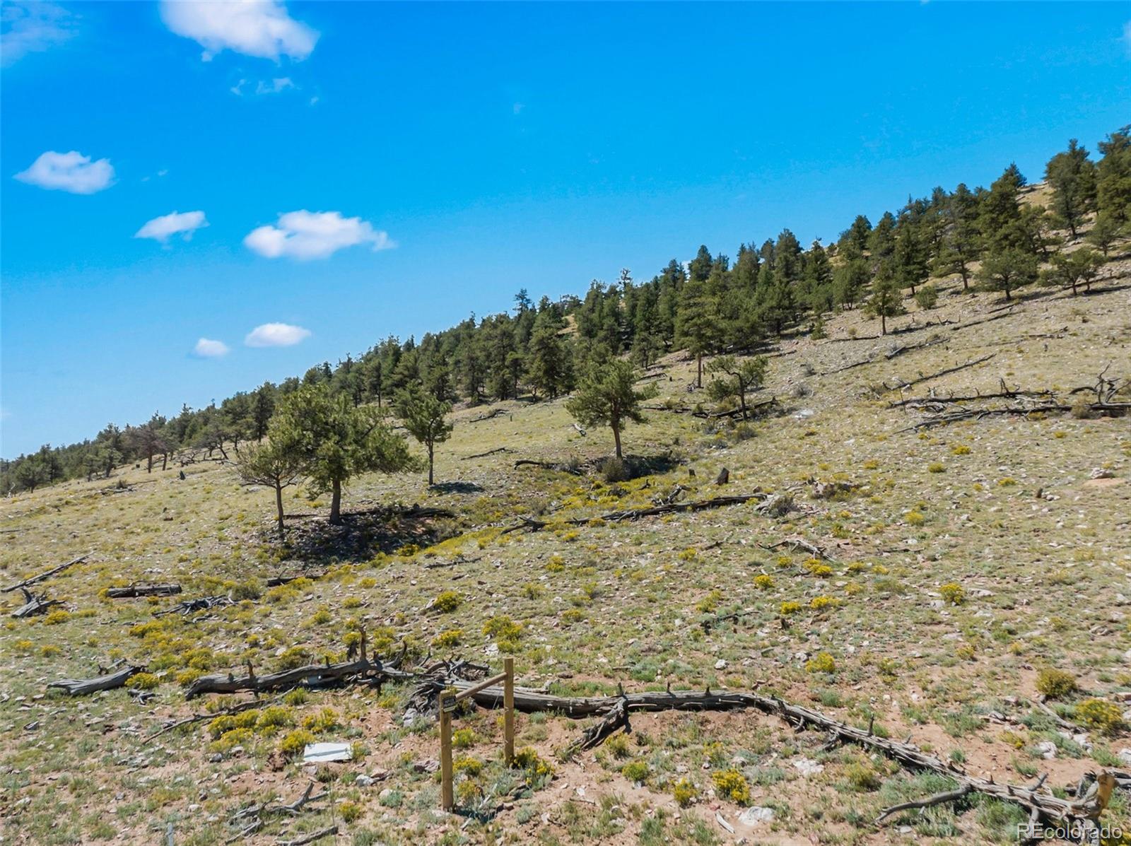 835 Sulphur Mountain Lake George CO 80827