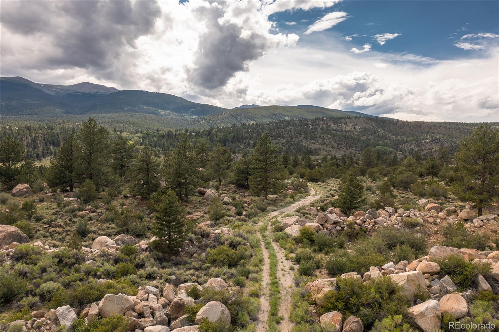 37468 Buffalo Creek Road Buena Vista CO 81211