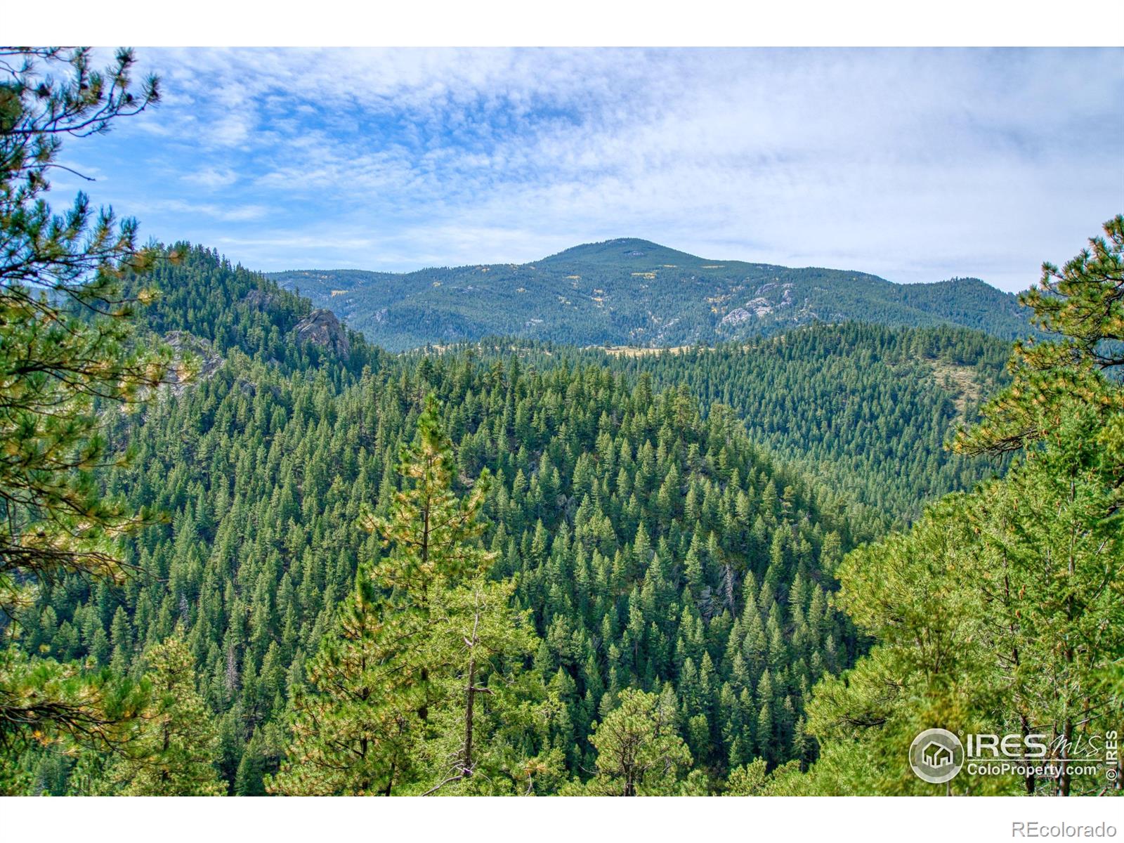 10697 County Road 43 Drake CO 80515
