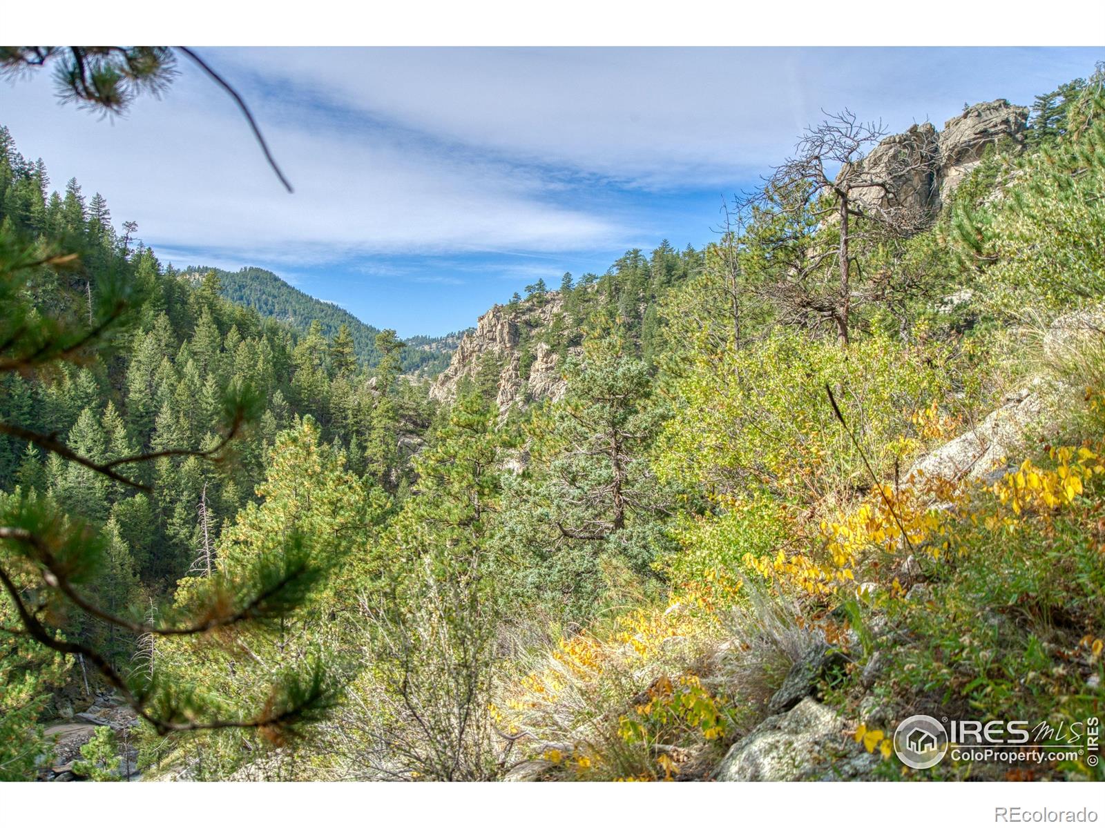 10697 County Road 43 Drake CO 80515