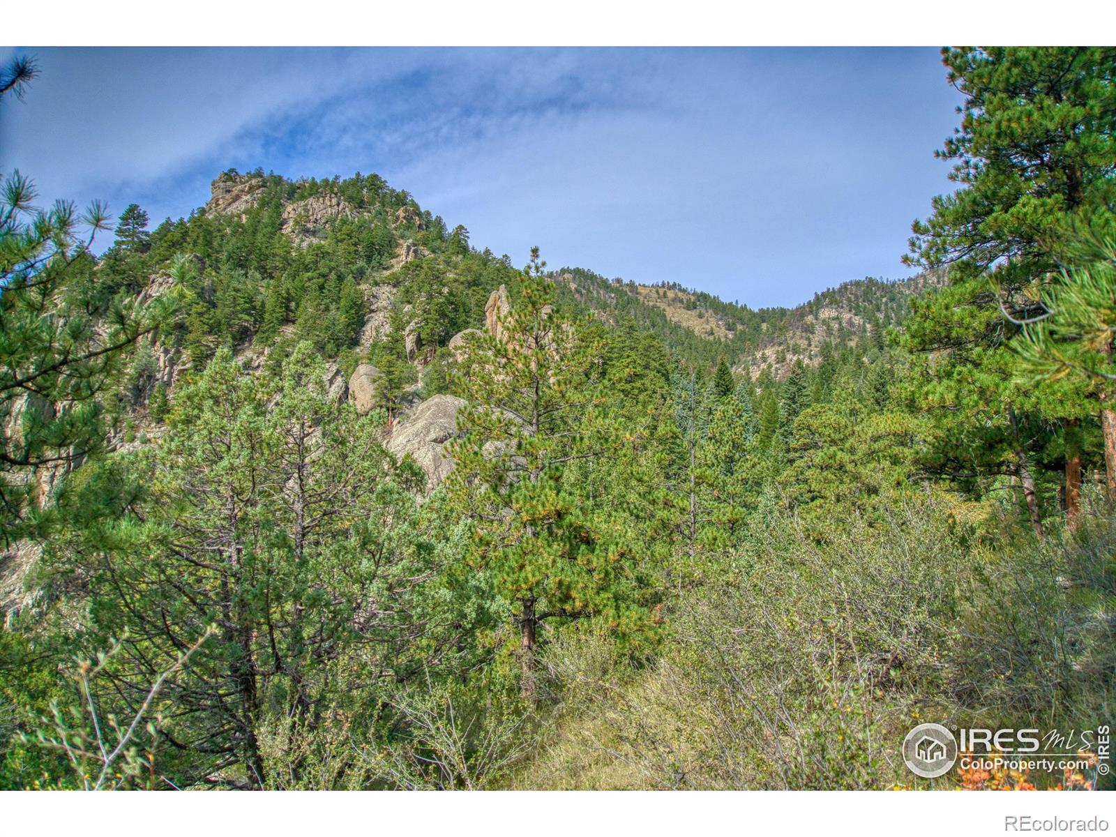 10697 County Road 43 Drake CO 80515