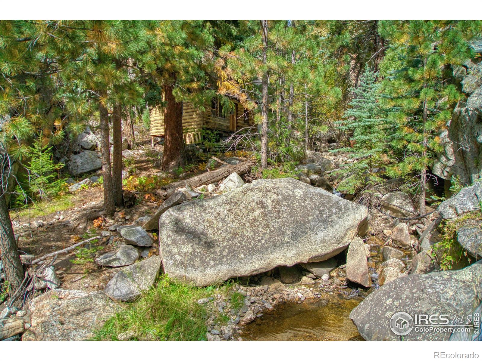 10697 County Road 43 Drake CO 80515