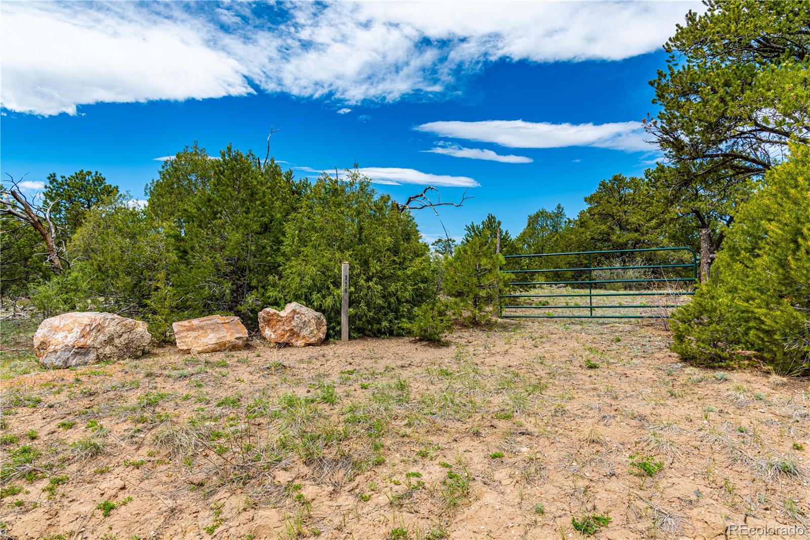 250 Cottonwood Drive Cotopaxi CO 81223