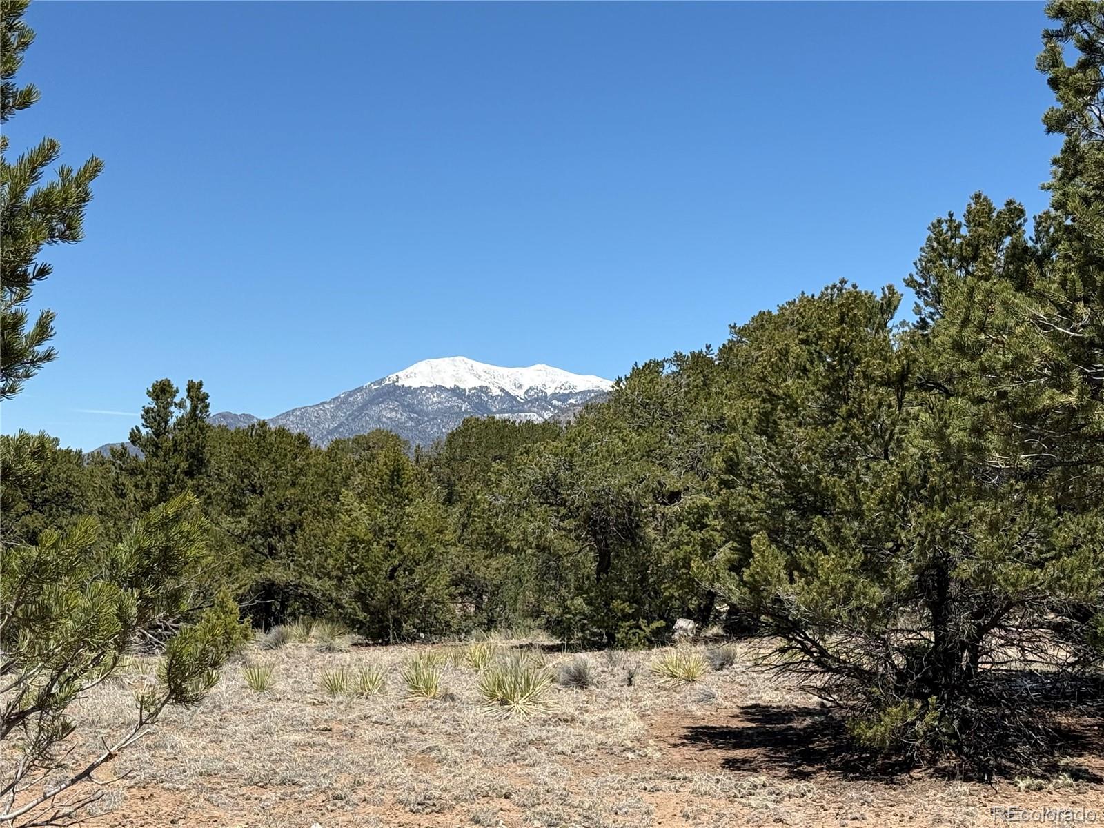 3231 Camino Del Rey Crestone CO 81131