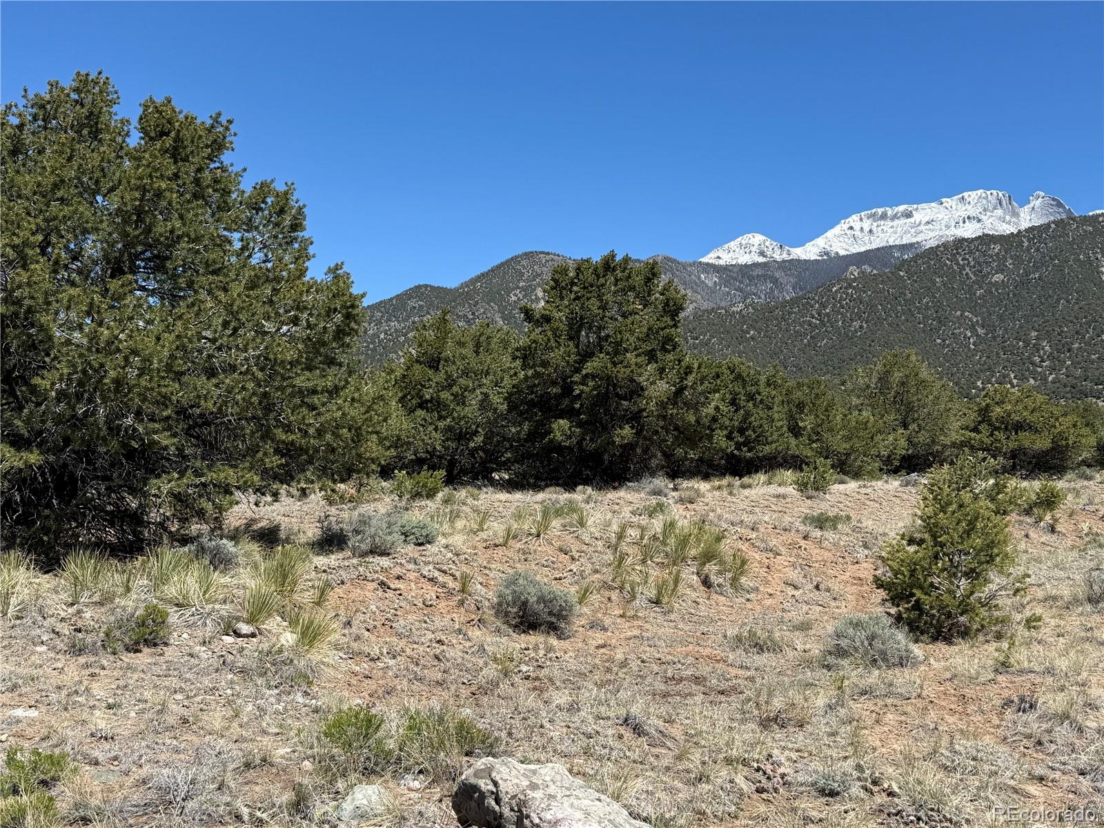 3231 Camino Del Rey Crestone CO 81131