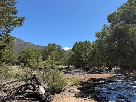 3231 Camino Del Rey Crestone CO 81131