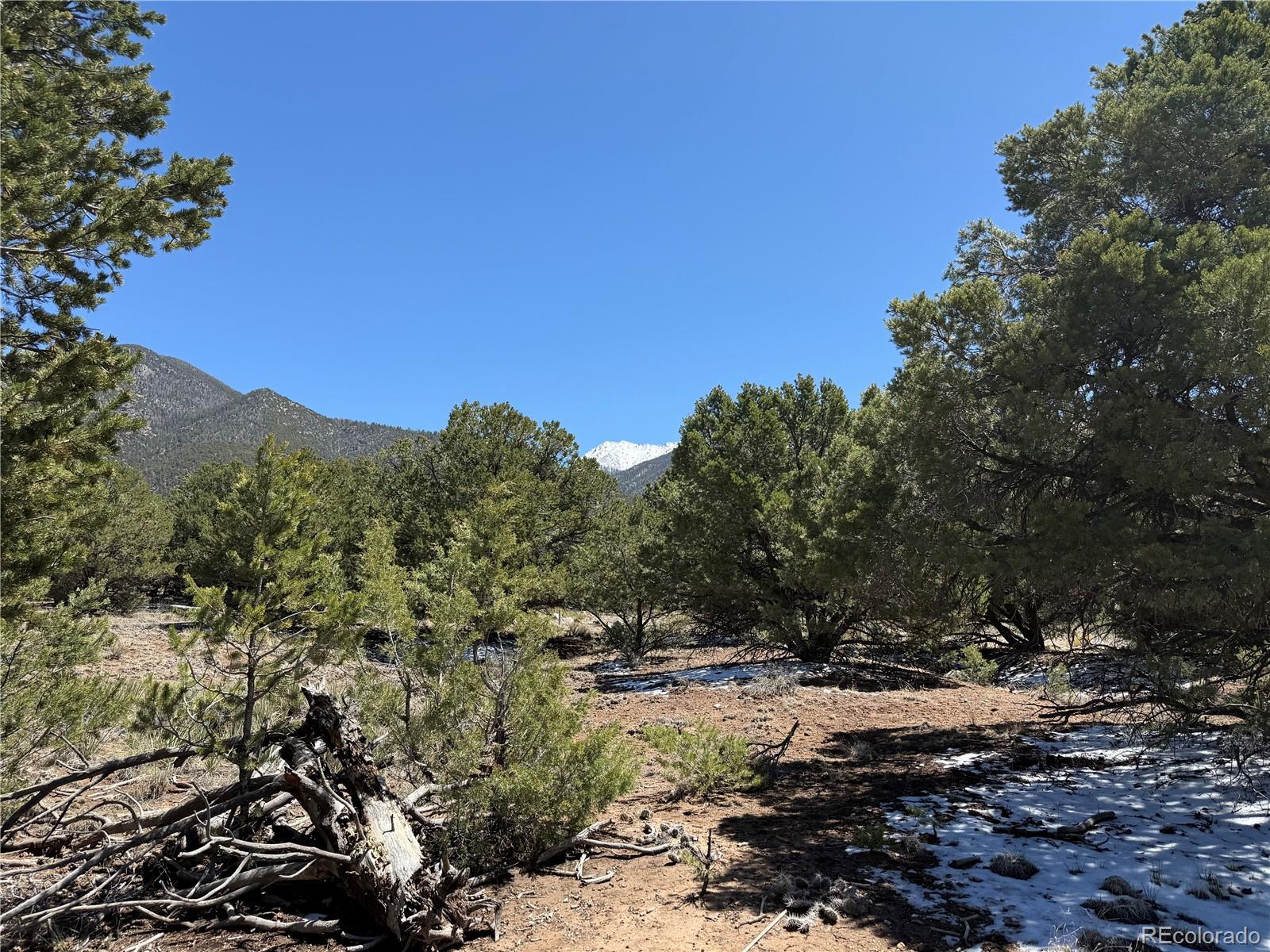3231 Camino Del Rey Crestone CO 81131