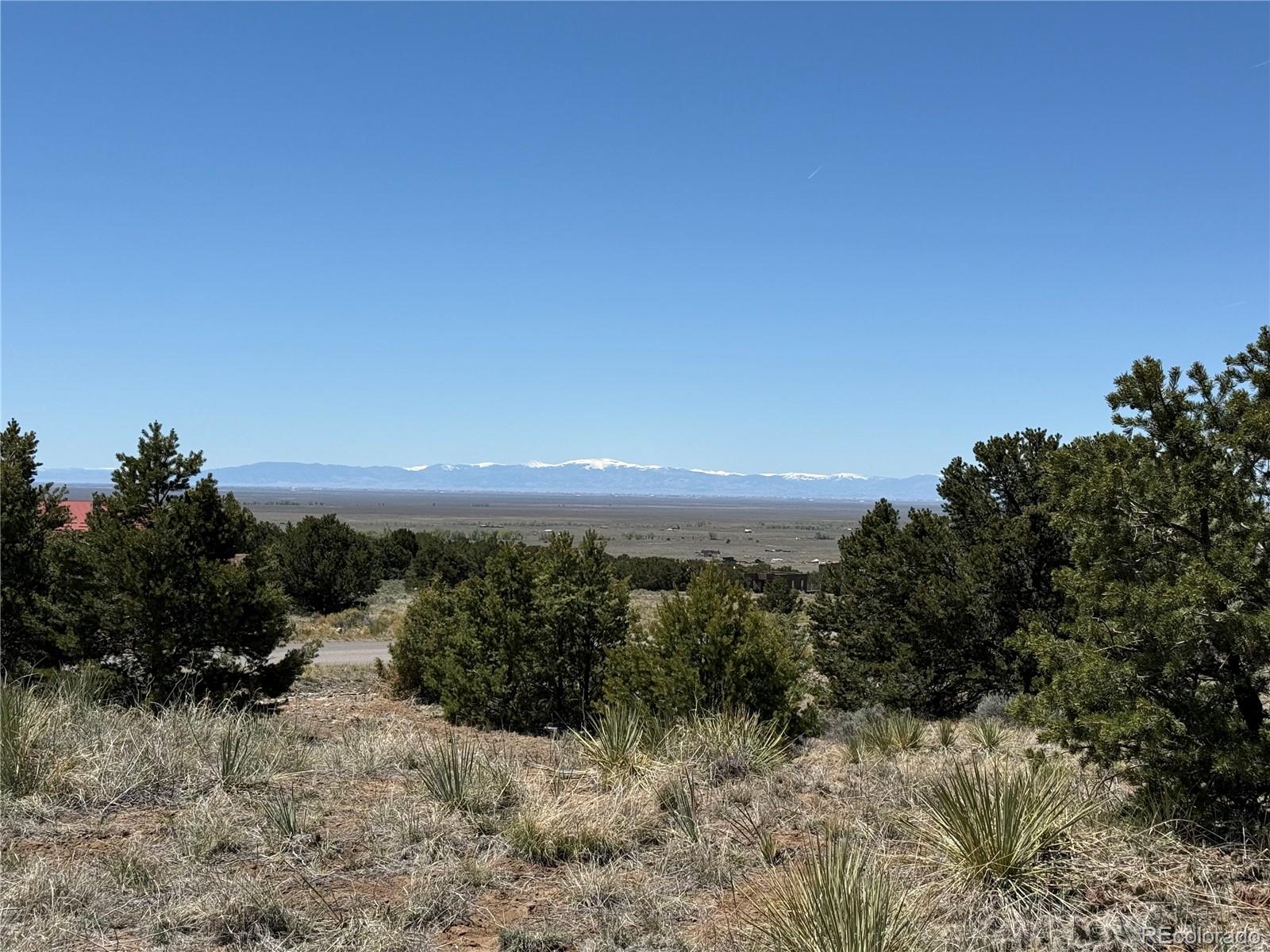3231 Camino Del Rey Crestone CO 81131