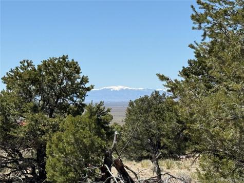 3231 Camino Del Rey Crestone CO 81131