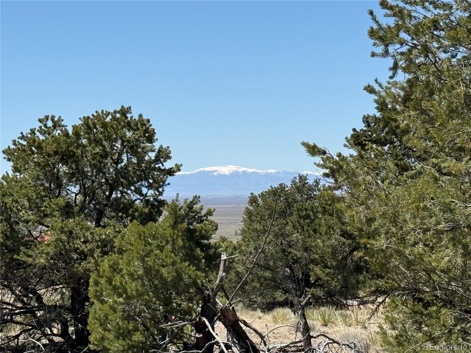 3231 Camino Del Rey Crestone CO 81131