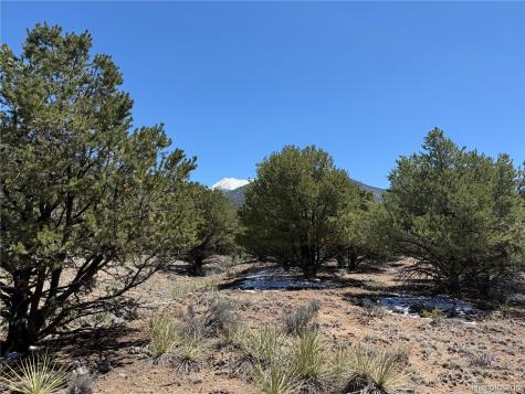 3231 Camino Del Rey Crestone CO 81131
