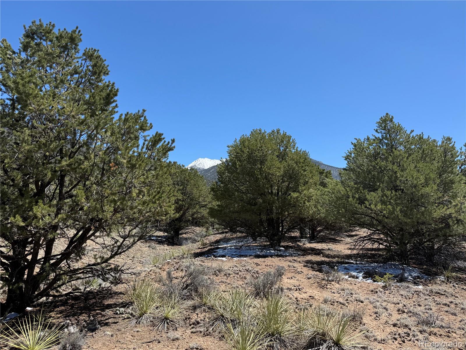 3231 Camino Del Rey Crestone CO 81131
